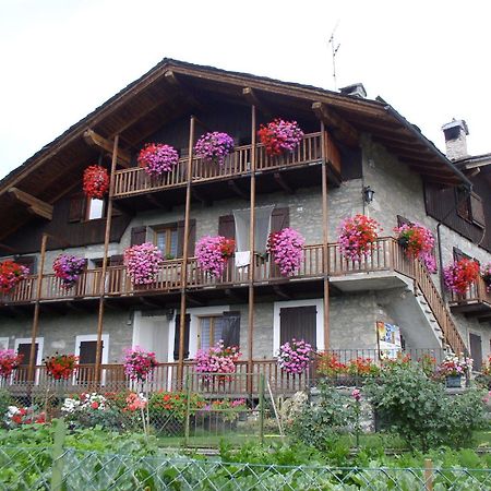 Le Vieux Noyer - Appartamenti Al Verde Villaggio Di Rumiod 셍피에르 외부 사진