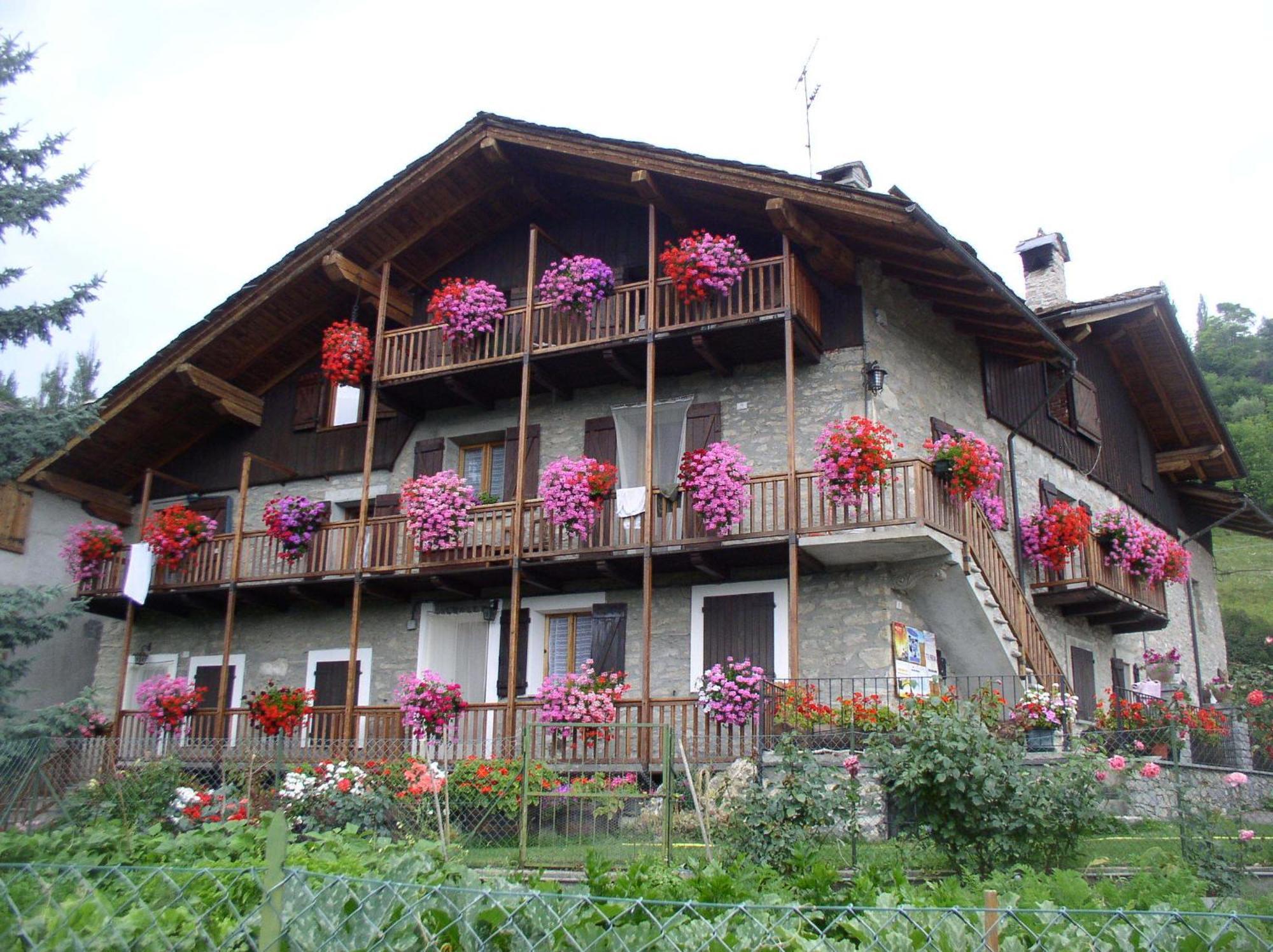 Le Vieux Noyer - Appartamenti Al Verde Villaggio Di Rumiod 셍피에르 외부 사진